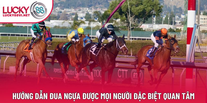 Hướng dẫn đua ngựa được mọi người đặc biệt quan tâm